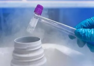 凍卵成功就可以隨時生孩子嗎 凍卵成功怎么生孩子