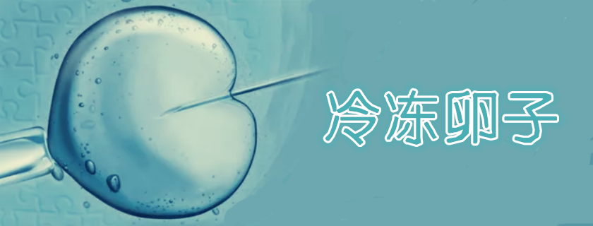 冷凍卵子