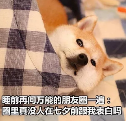 七夕快到了還是一個(gè)人 七夕快到了的幽默說(shuō)說(shuō)