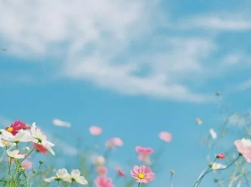 2019七夕情人節祝福語大全 七夕溫馨感人祝福語 2019七夕情人節祝福語大全 七夕溫馨感人祝福語