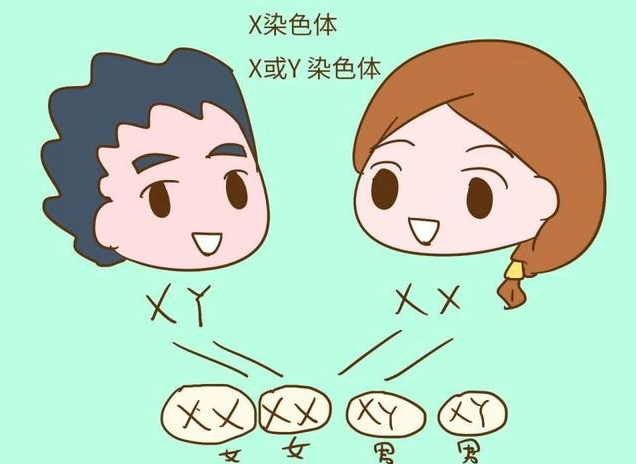 女性屁股大能生兒子嗎 女性生育能力和什么有關