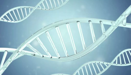 寶寶在子宮內不長了怎么回事 胚胎停育的原因