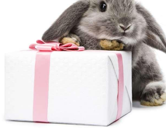 七夕想要禮物的句子 七夕想要禮物怎么發朋友圈 七夕想要禮物的句子 七夕想要禮物怎么發朋友圈