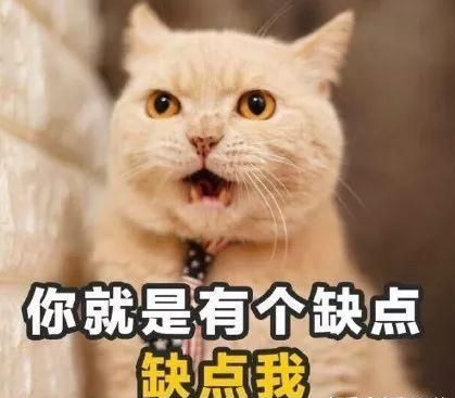 七夕土味情話大全 七夕表白土味情話句子