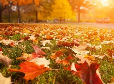 立秋說說朋友圈簡短唯美句子 立秋說說心情感言