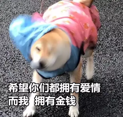 一個人的七夕傷感說說 單身七夕情人節(jié)2019