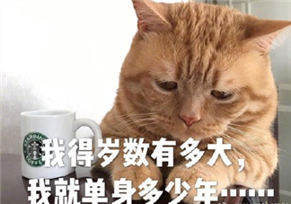 七夕一個人過情人節的說說 七夕一個人的朋友圈句子