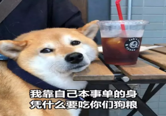 一個人的七夕傷感說說 單身七夕情人節2019