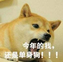 七夕朋友圈幽默語錄2019 七夕情人節搞笑句子大全