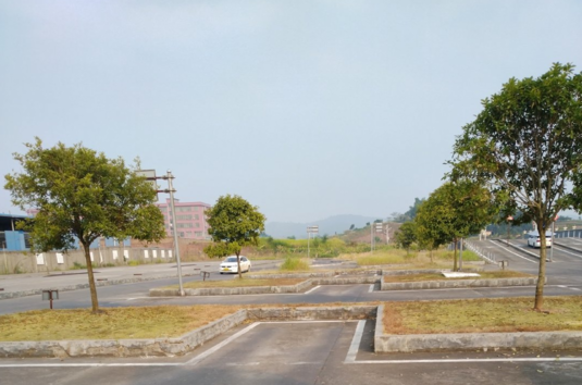 七夕與我無關說說 七夕與我無關心情感慨