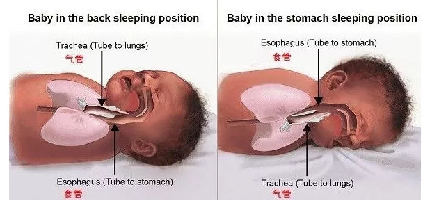 寶寶到底應該怎么睡呢 哪種睡姿最適合寶寶