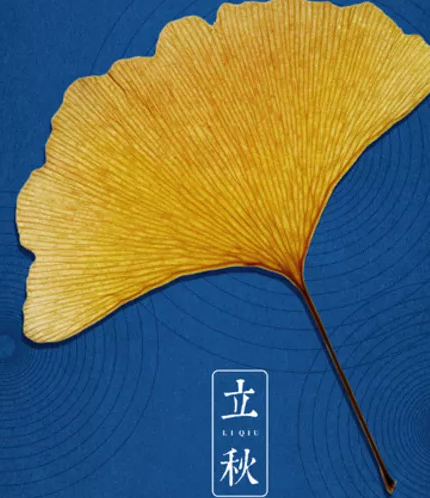 今日立秋朋友圈說(shuō)說(shuō)2019 今日立秋怎么發(fā)朋友圈