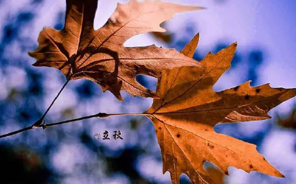 關于立秋的古詩有哪些 立秋古詩詞大全