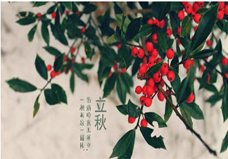 2019立秋依然熱的搞笑心情說說 2019立秋依然熱的搞笑句子