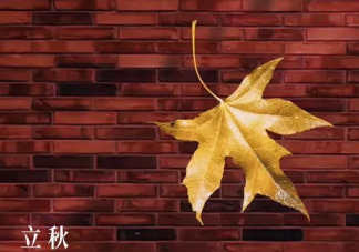 今日立秋朋友圈說說2019 今日立秋怎么發(fā)朋友圈