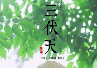 2019立秋后天氣還熱多久 立秋后多久會涼快