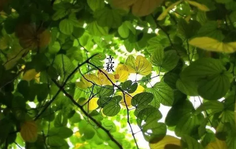立秋節氣朋友圈簡單說說 立秋祝福語帶圖片