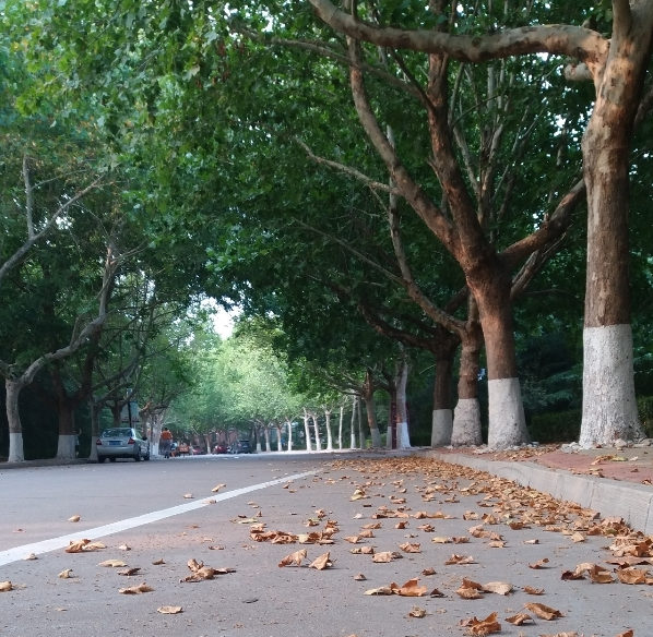 關(guān)于立秋的心情感慨 立秋的句子說說怎么發(fā)