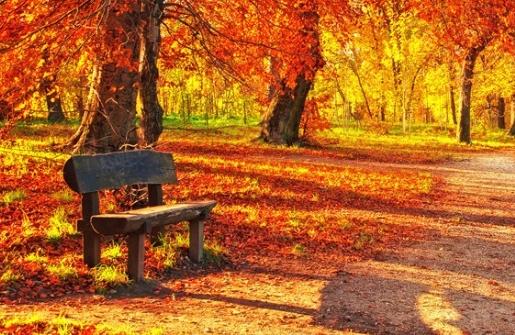今日立秋說說心情配圖 今日立秋了新開始感言