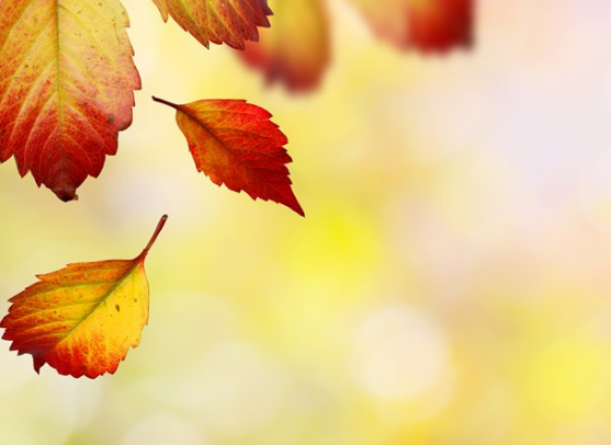 今日立秋說說心情配圖 今日立秋了新開始感言