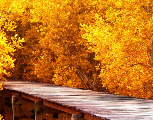 2019立秋心情感受朋友圈說說 立秋開心感想配圖