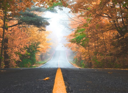 2019立秋心情感受朋友圈說說 立秋開心感想配圖