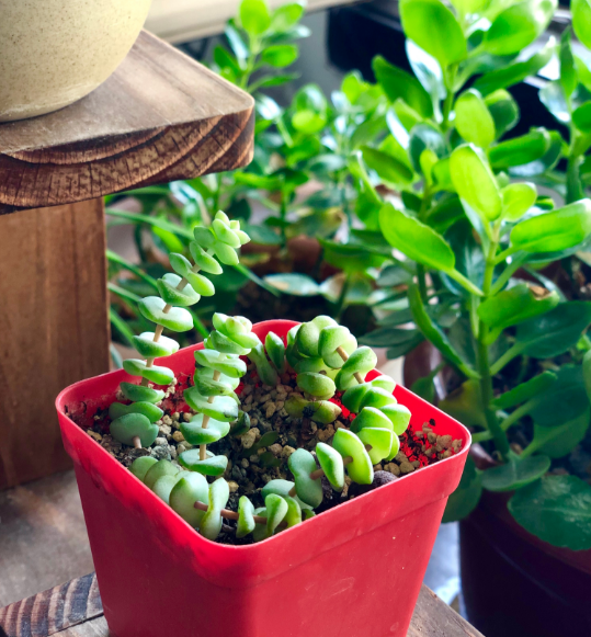 秋天你好說說朋友圈 秋天你好心情句子