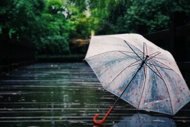 秋天你好說說朋友圈 秋天你好心情句子