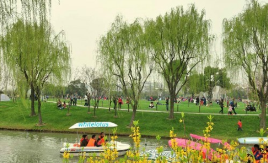 什么戶外運動最適合寶寶 適合寶寶的戶外運動有哪些