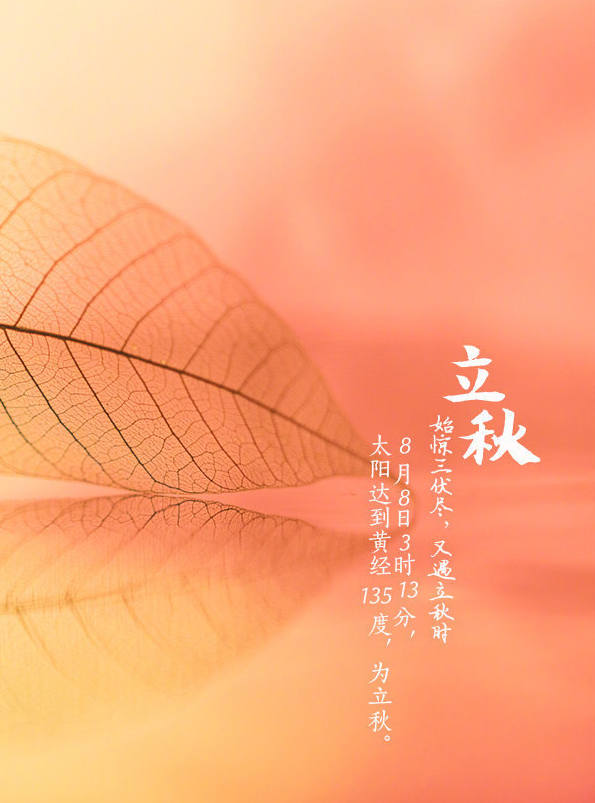 秋天你好句子心情 秋天你好優(yōu)美句子說說