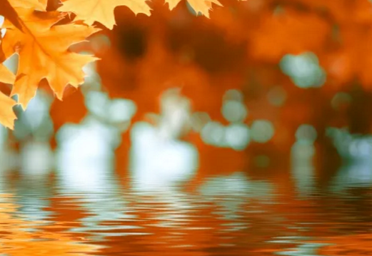 秋天來了朋友圈經典說說2019  秋天來了的配圖文字