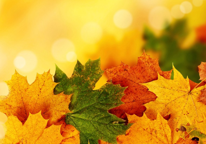 秋天來了唯美心情說說 秋天來了朋友圈心情感言