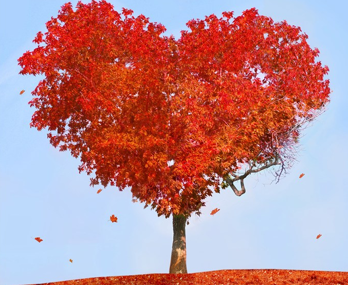 秋天來了唯美心情說說 秋天來了朋友圈心情感言