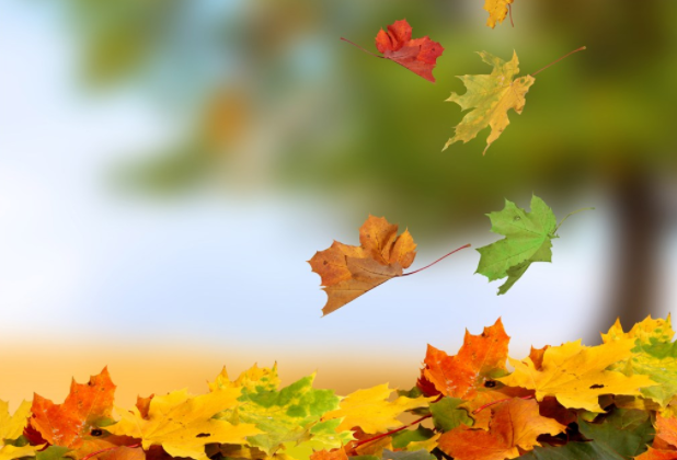 秋天來了怎么發(fā)朋友圈說說 秋天來了朋友圈經(jīng)典句子說說