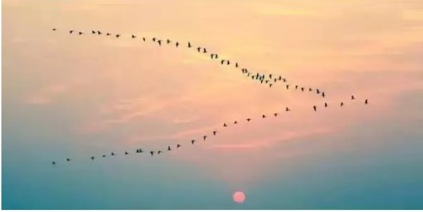 立秋如何注意飲食習慣 立秋后要注意哪些事情