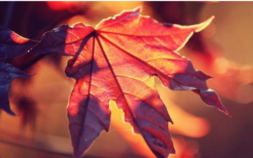 立秋搞笑段子說說 立秋朋友圈搞笑段子