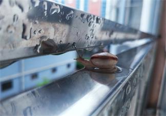 關(guān)于立秋的心情感慨 立秋的句子說說怎么發(fā)