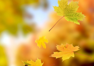 今日立秋說說心情配圖 今日立秋了新開始感言