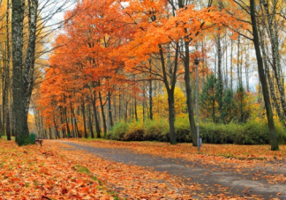 2019立秋心情感受朋友圈說說 立秋開心感想配圖
