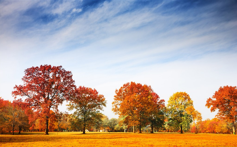 描寫秋天景色的詞語和句子有哪些 描寫秋天景色的詞語和句子和段落