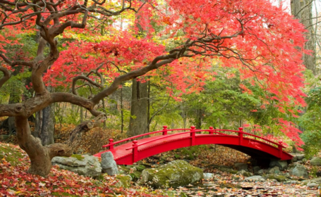 描寫秋天景色的詞語和句子有哪些 描寫秋天景色的詞語和句子和段落