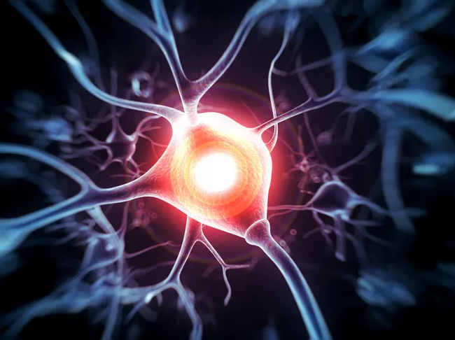 試管嬰兒移植鮮胚還是凍胚好 鮮胚和凍胚有什么區(qū)別