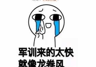 2019軍訓搞笑說說帶圖片 軍訓前發的搞笑說說