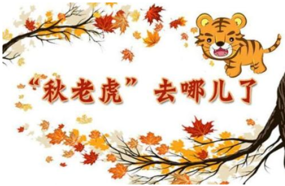 2019秋老虎從什么時候開始 秋老虎指什么