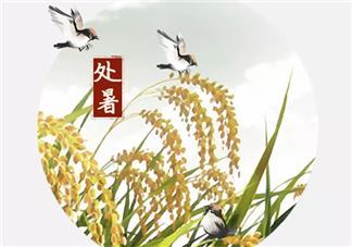 2019處暑節(jié)氣各品牌海報(bào)文案合集 處暑節(jié)氣創(chuàng)意海報(bào)文案賞析
