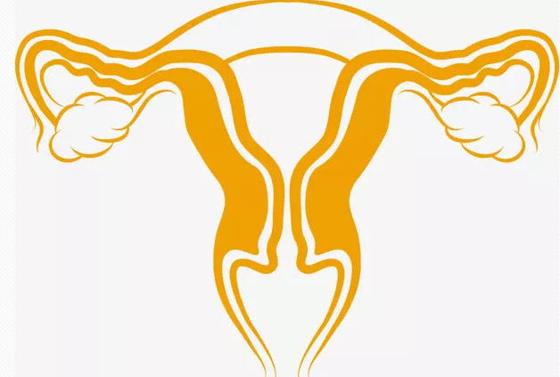 輕度子宮脫垂需要治療嗎 子宮脫垂如何自我檢查 輕度子宮脫垂需要治療嗎 子宮脫垂如何自我檢查