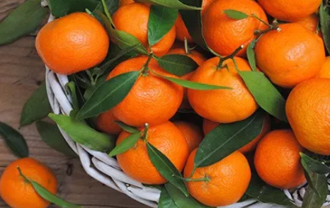 寶寶缺乏維生素B的癥狀 缺維生素B有哪些表現(xiàn)