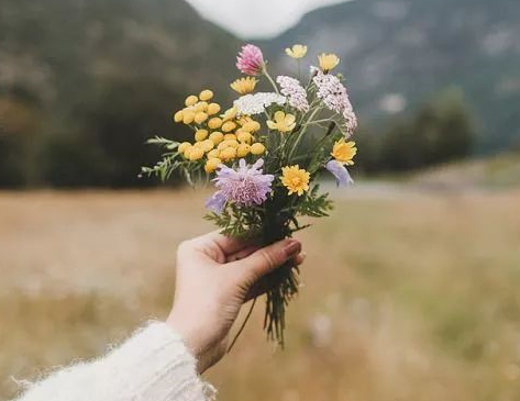 2019處暑節(jié)氣祝福語句子 處暑朋友圈問候語大全 2019處暑節(jié)氣祝福語句子 處暑朋友圈問候語大全