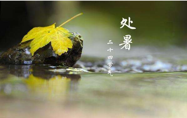 2019處暑出生的女孩好不好 2019處暑出生的女孩如何取名