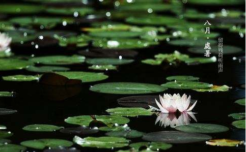 2019處暑出生的女孩好不好 2019處暑出生的女孩如何取名